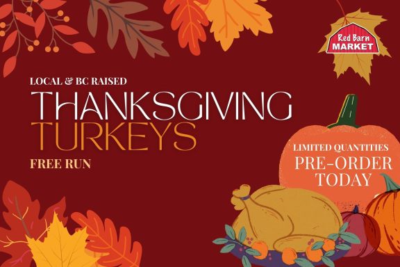 Thanksgiving Turkeys 2025