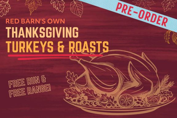 Thanksgiving Turkey
